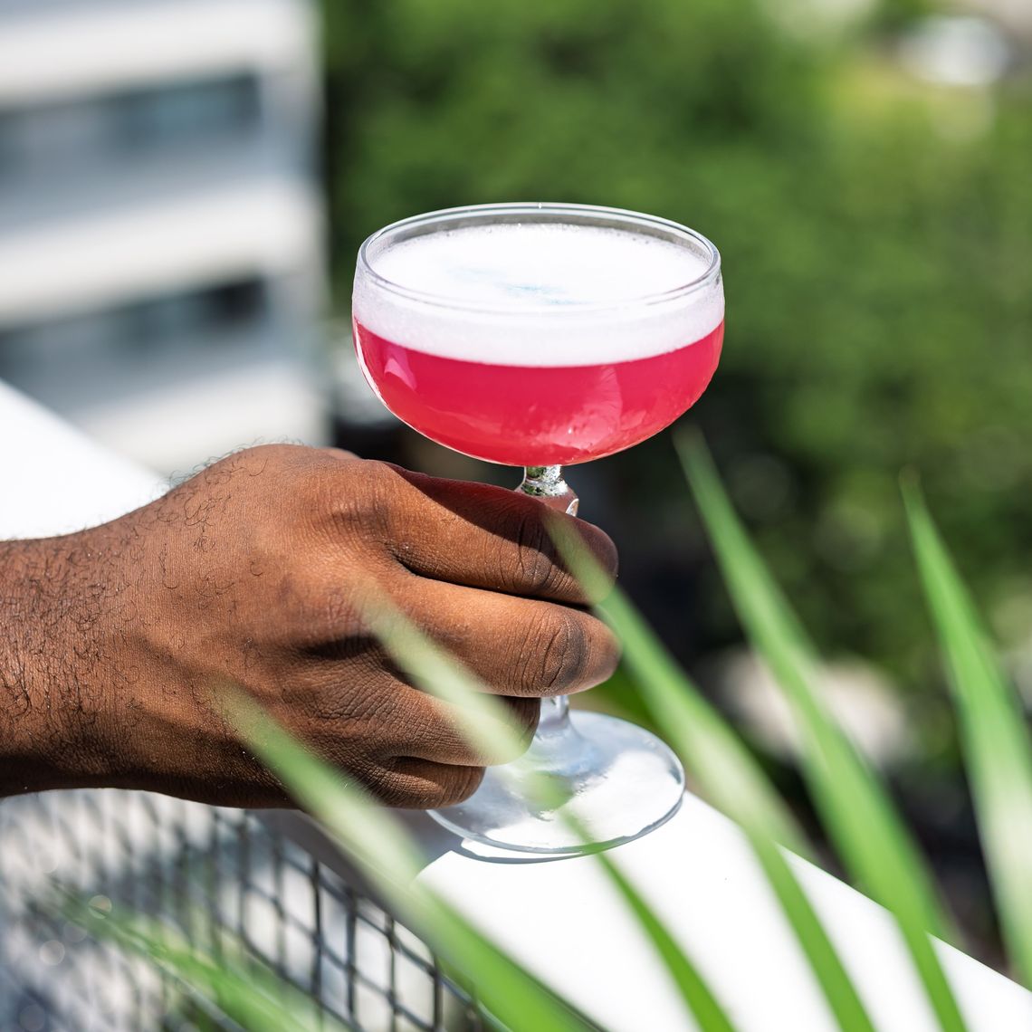 neon moon cocktail