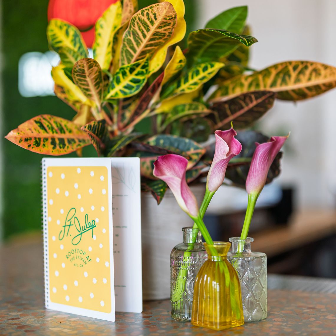 st julep menu and decor