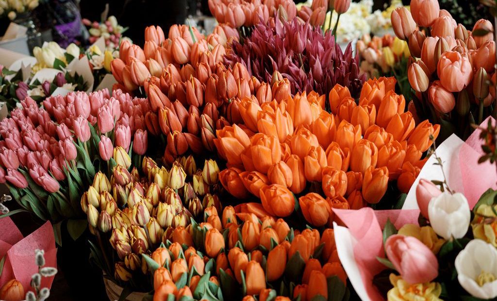 Flower Bouquets